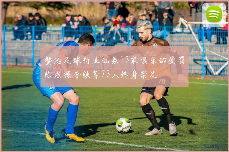 整治足球行业乱象13家俱乐部受罚陈戌源李铁等73人终身禁足