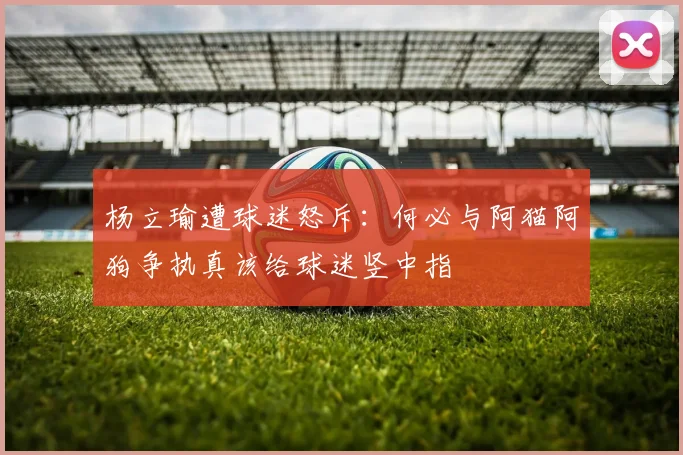 杨立瑜遭球迷怒斥：何必与阿猫阿狗争执真该给球迷竖中指
