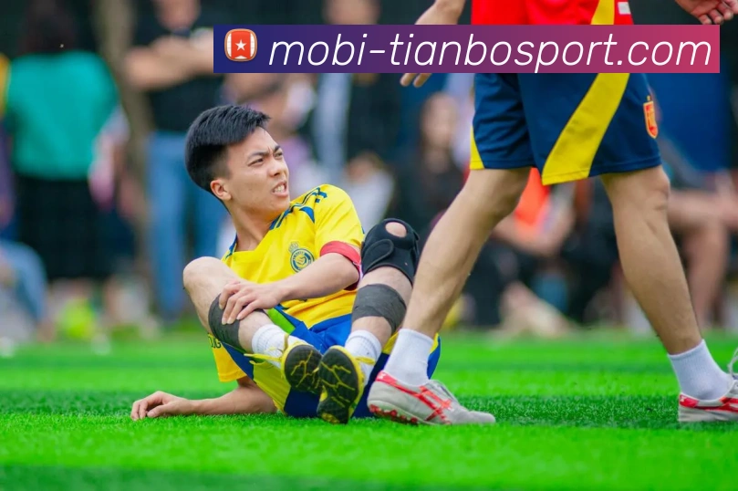 天博体育平台生态图